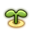 Sprout Sprout
